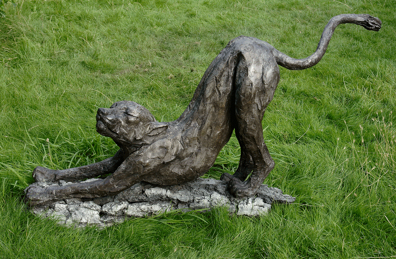 Stretch (Bronze) 12 cm x 63cm x 27cm copy